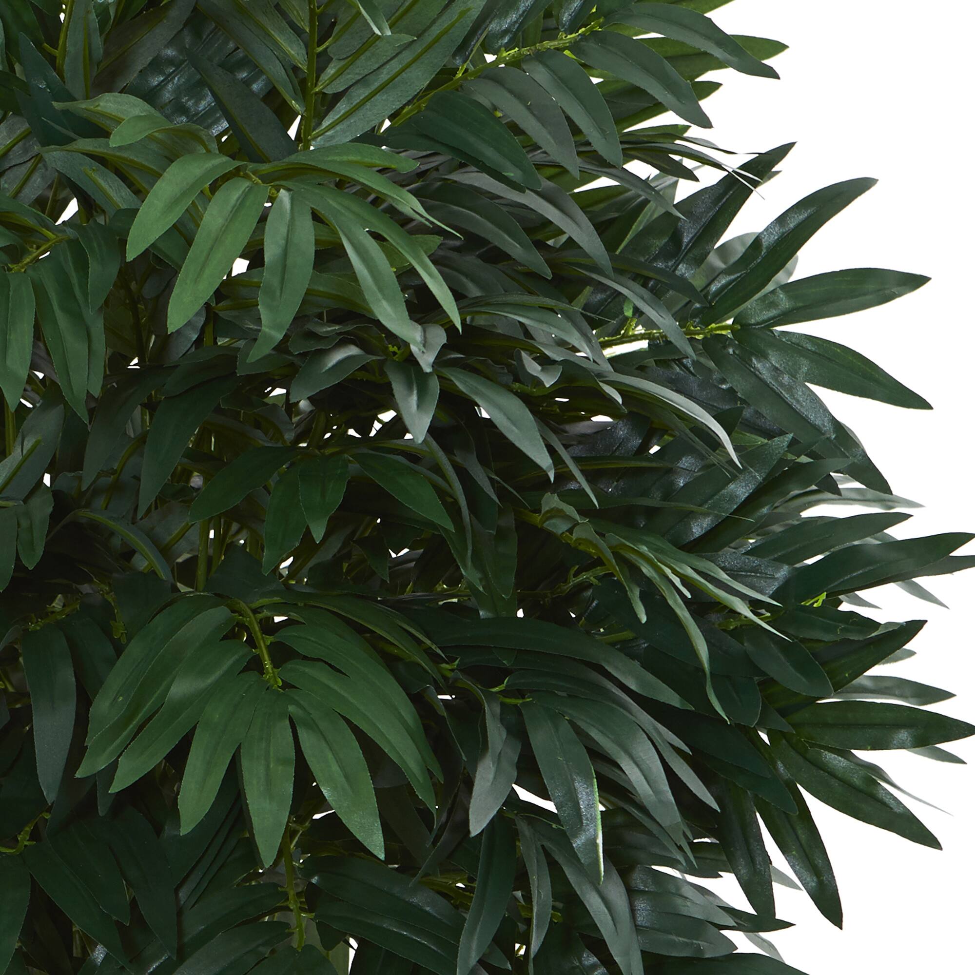 3ft. Double Bamboo Palm Tree in White Tower Vase